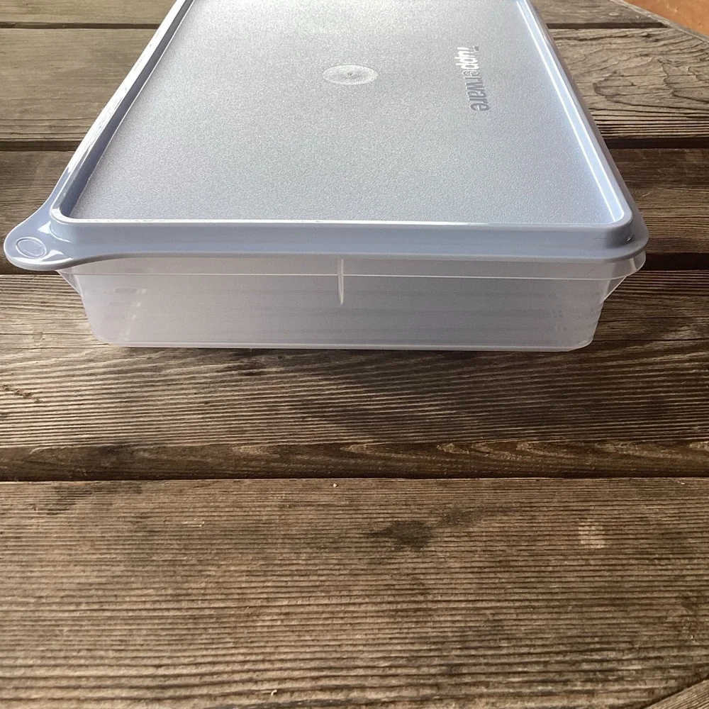 Tupperware Snack-Stor Large Container in Ice Cube color